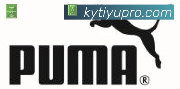 开云APP合作伙伴